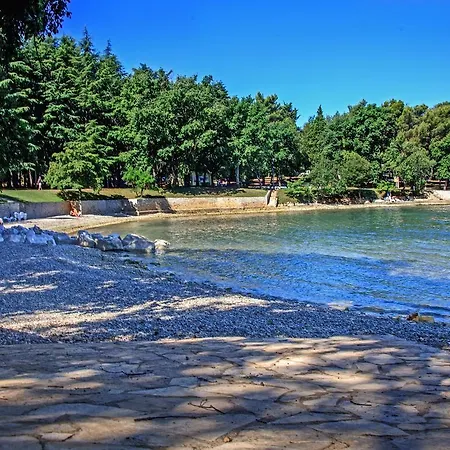 Modern In Brcici With Swimming Pool